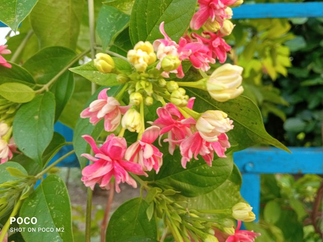 IMG_20250605_180026.