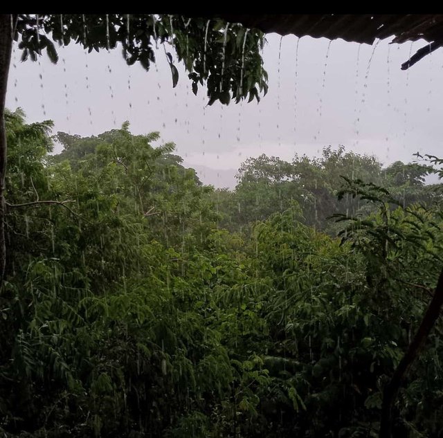 Plena Lluvia.jpg