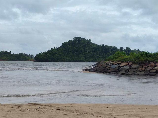 IMG_20250515_142818.jpg