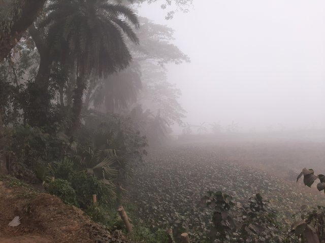 20221230_091459.jpg