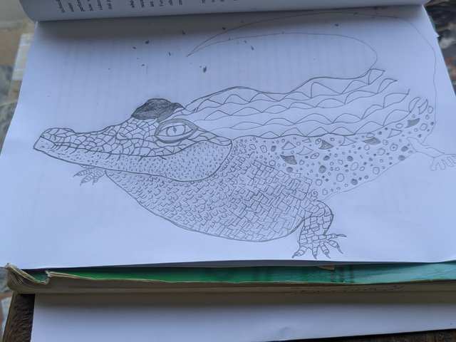 1000762480.jpg