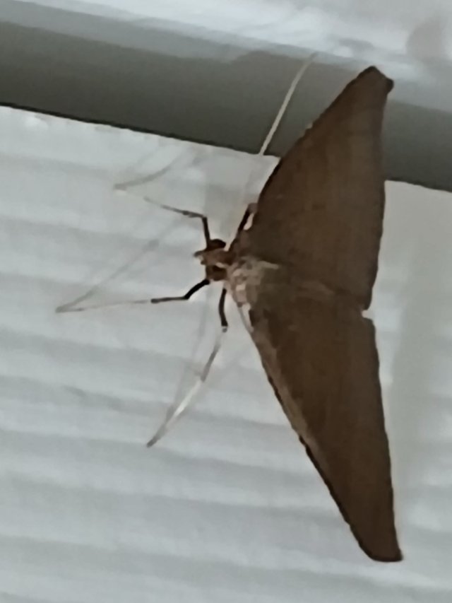 20250804_173821.jpg