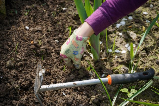 work-in-the-garden-g389a2d5e4_1920.jpg