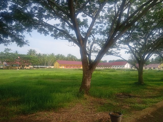 IMG20210603083202.jpg