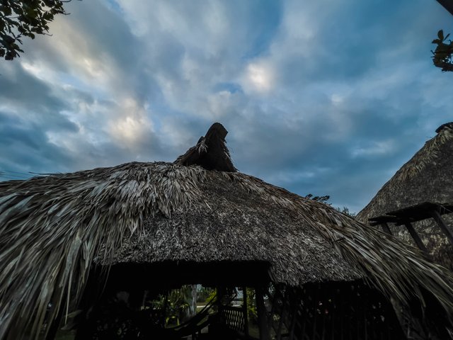 IMG_0011.jpg