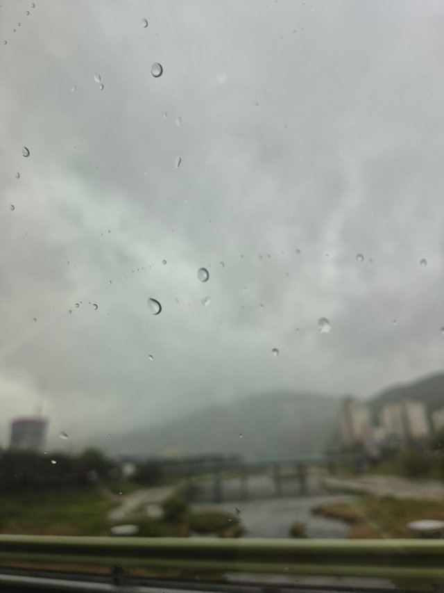 1000027500.jpg
