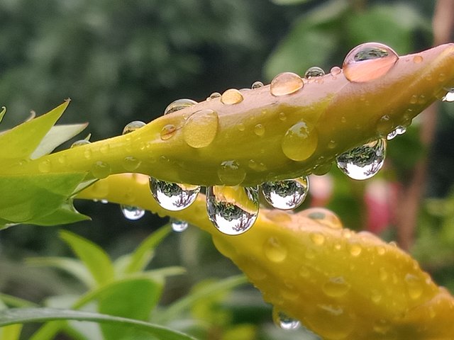 IMG20250705070621.jpg