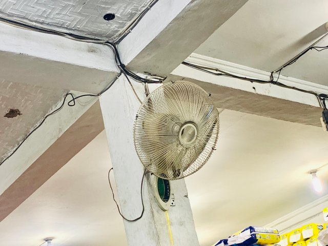 IMG_7130.jpeg