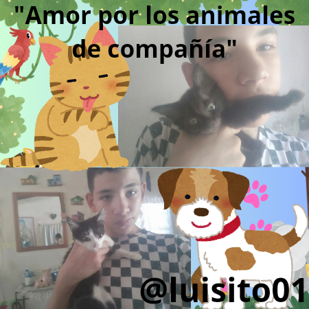 _Amor por los animales de compañía__20240911_130647_0000.png