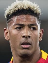 Patrick van Aanholt Transfermarkt.jpg