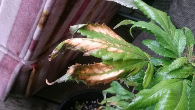 20190515_164732.jpg