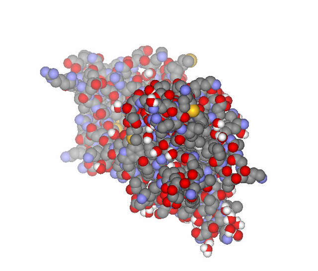 Brain-derived_neurotrophic_factor_-_PDB_id_1BND.png