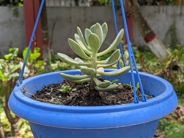 1000041321.jpg