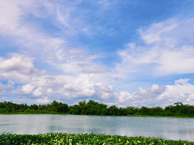 IMG_20250707_164958.jpg