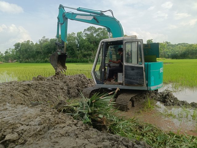 IMG20250614091814.jpg