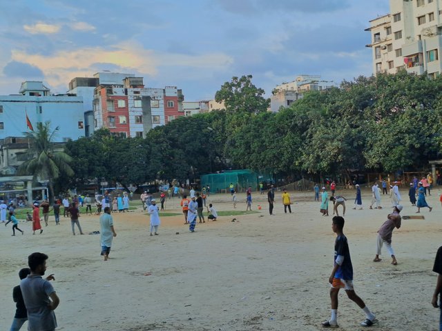 20250904_173720.jpg