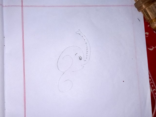 20250609_181959.jpg