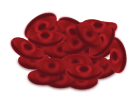 270px-Red_Blood_Cells_png.png