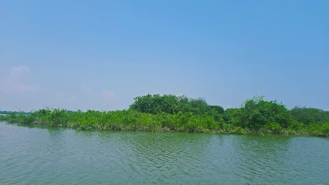 20250609_103446.jpg
