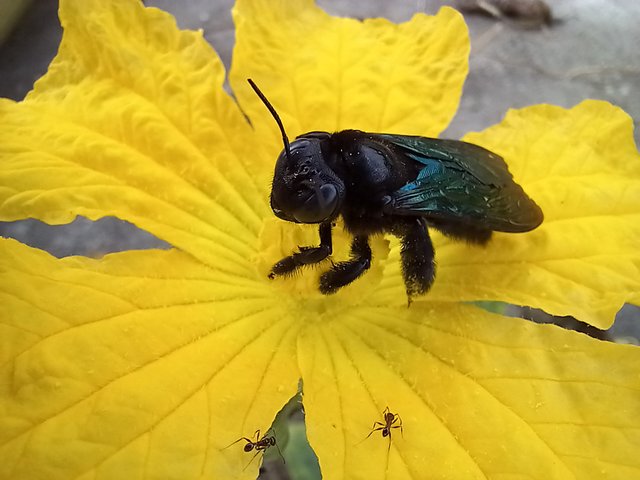 20221128_073651.jpg