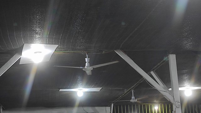 IMG_20250717_193851.jpg