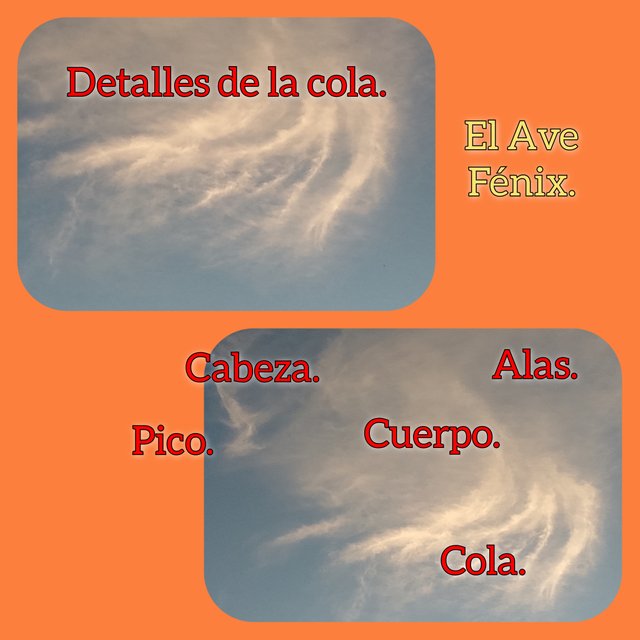 FotoGrid_20250809_195649928.jpg
