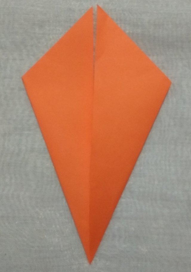 o14.jpg