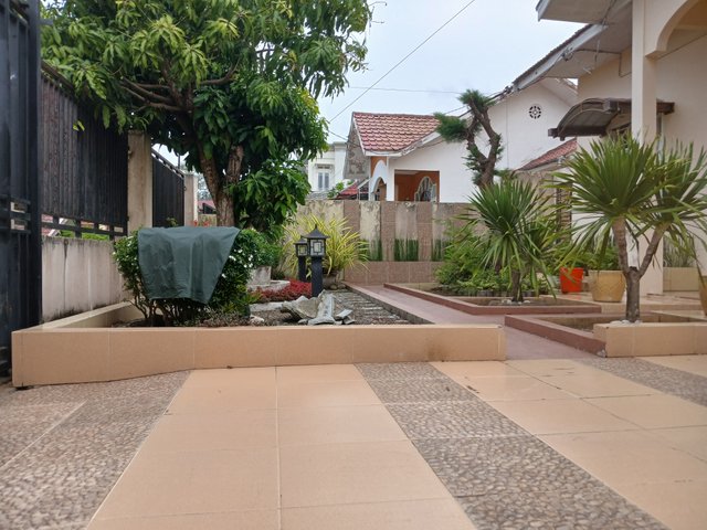 1000162275.jpg