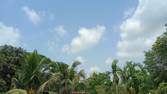IMG_20250430_113650_045.jpg
