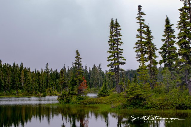 Strathcona Park-5.jpg