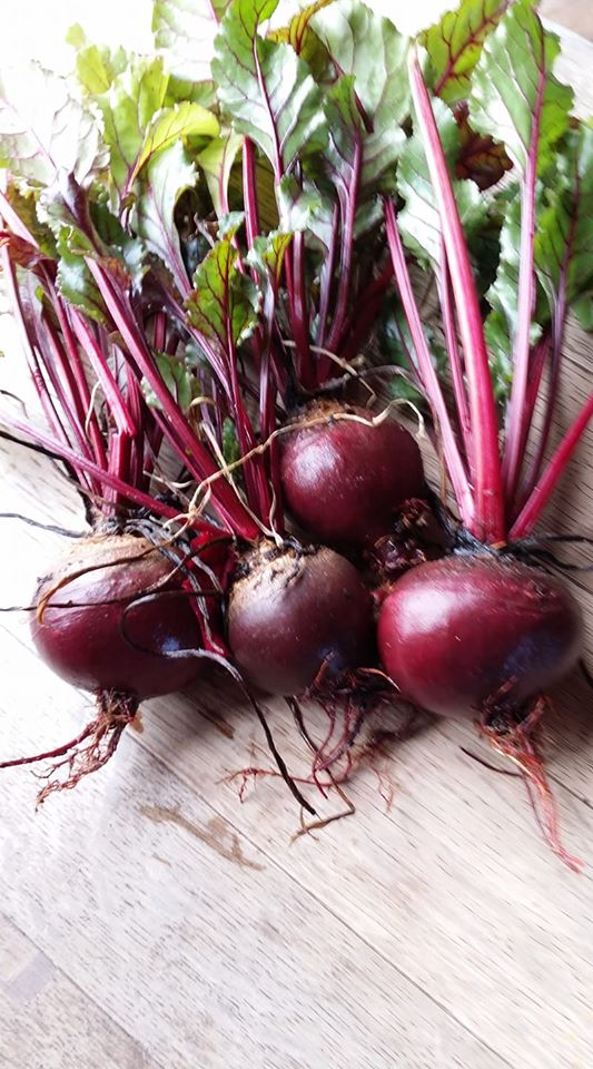 mybeetroot.png