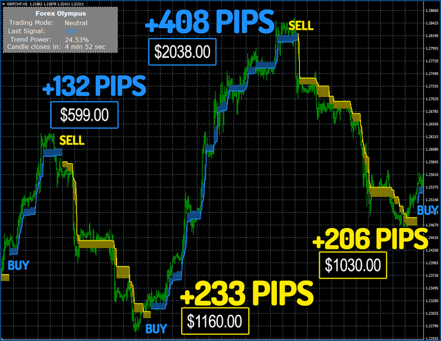 Forex_Olympus_Robot_Review.png