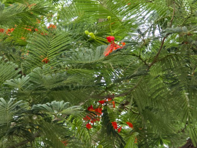 20240626_181529.jpg