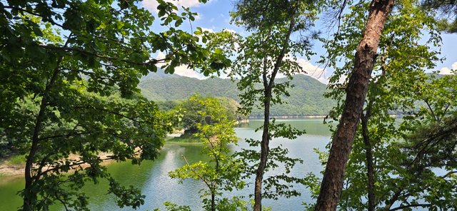 KakaoTalk_20250730_162736364_16.jpg