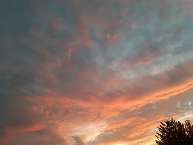 20250818_195717.jpg