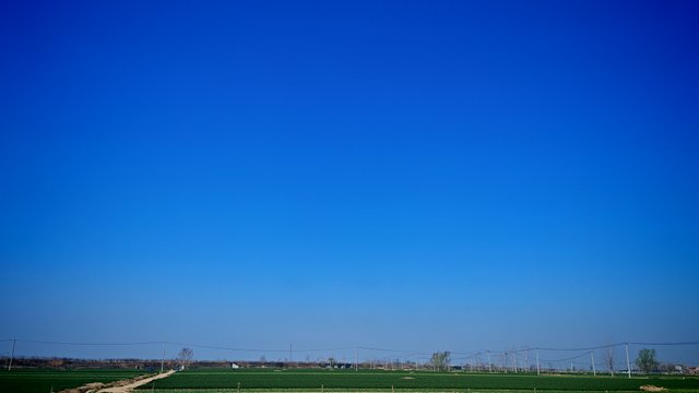 IMG_20250319_101511.jpg