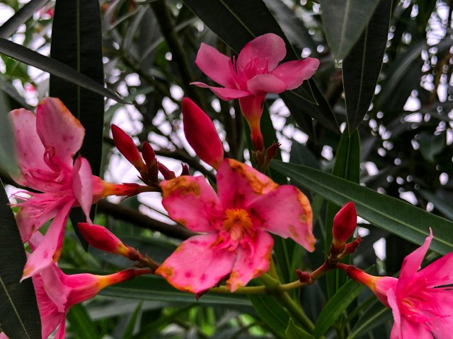 IMG_1765-01.jpeg