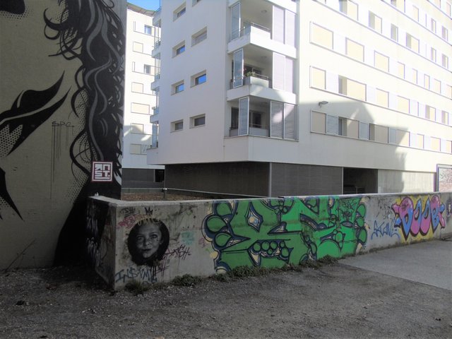 DSC06277.JPG