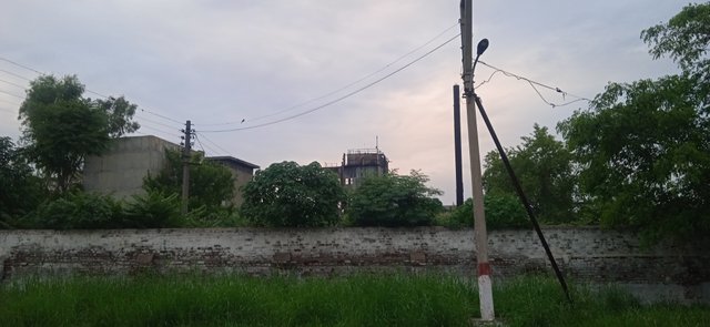IMG_20250715_191253_1.jpg