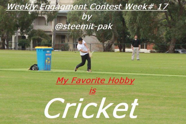 My Favorite Hobby Is Cricket.jpg