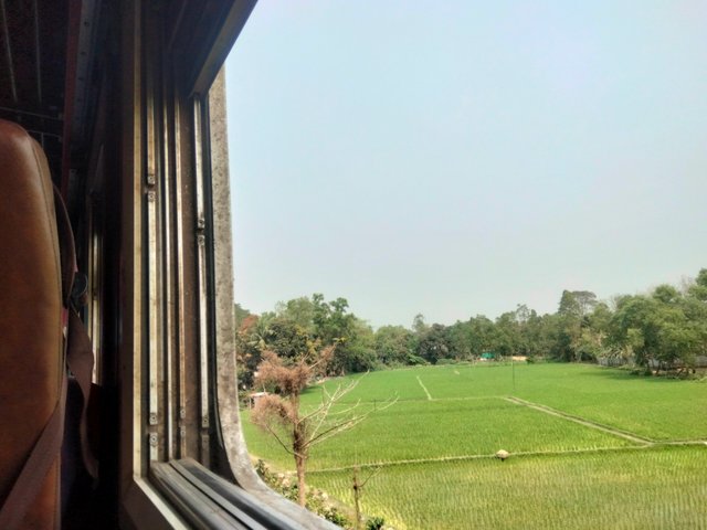 IMG20250311113803.jpg