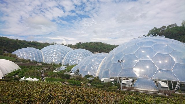 eden-project-1687682_1280.jpg