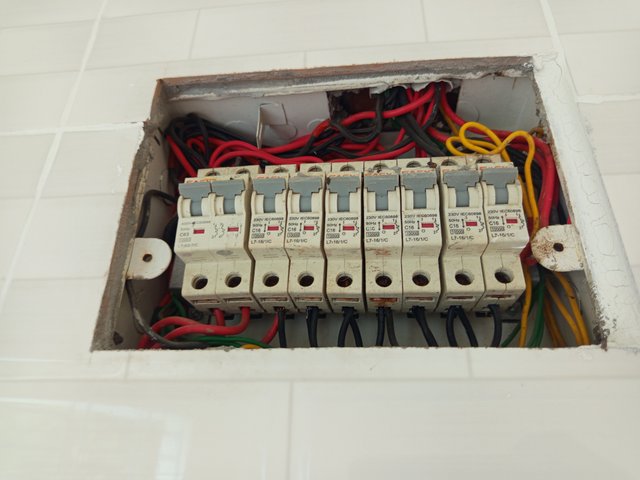 1000009504.jpg