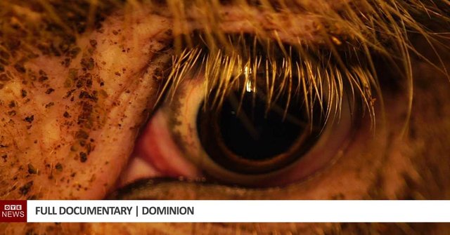 dominion-full-documentary-1.jpg