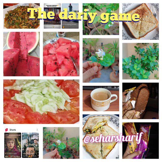 InCollage_20250425_182412057.jpg