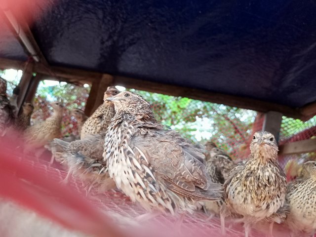 IMG20250503173906.jpg