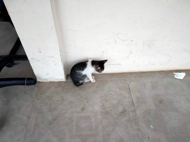 IMG20250720173031.jpg