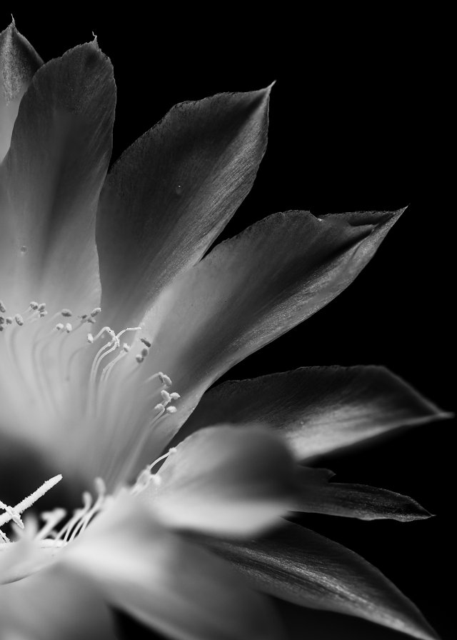_DSC5181-Edit.jpg