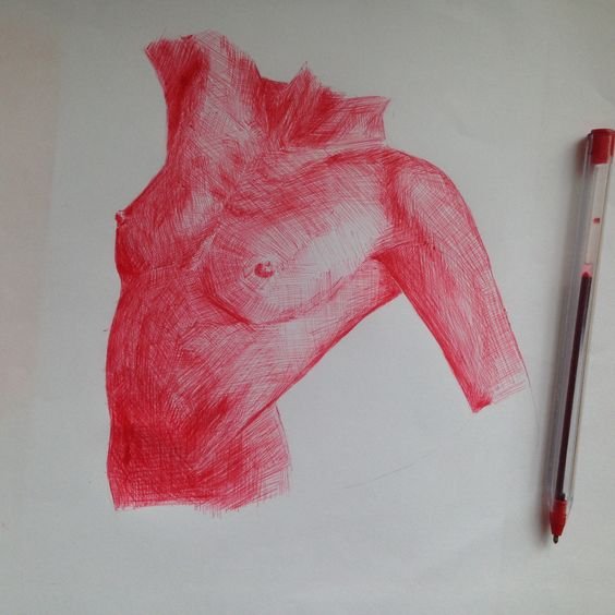 torso-femenino-rojo.jpg