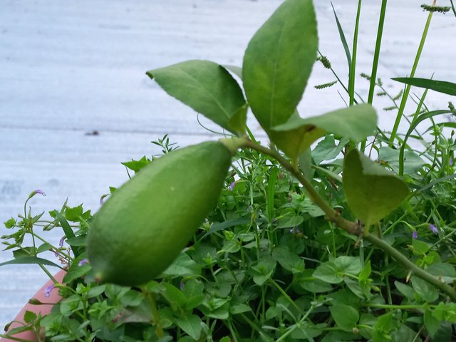 20230903_175837.jpg